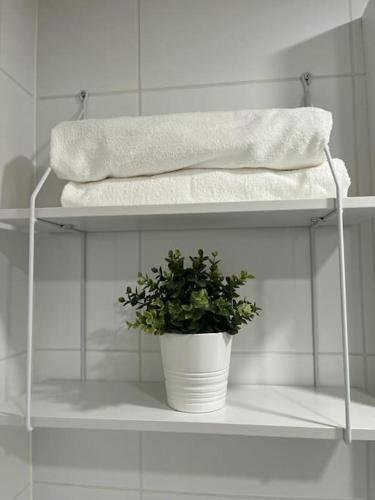 une étagère avec des serviettes et une plante en pot dans l'établissement Valoisa kaksio Toppilansalmessa, à Oulu