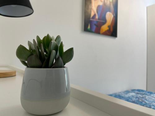 a white vase sitting on a table with a plant at Daisy House in Ferrara