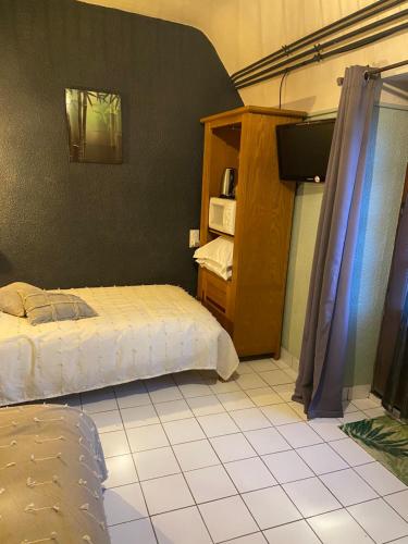 a bedroom with a bed and a tv in it at La Pénate in Pluduno