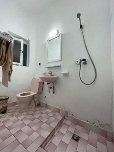 a bathroom with a pink toilet and a sink at Riad chez brahim in Essaouira