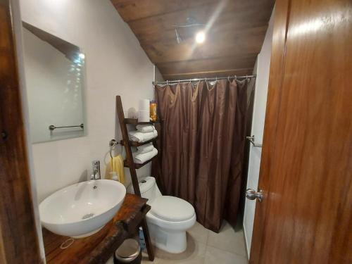 La salle de bains est pourvue d'un lavabo, de toilettes et d'une douche. dans l'établissement Cozy Bohemian Loft Apartment close Central Plaza, à Antigua Guatemala