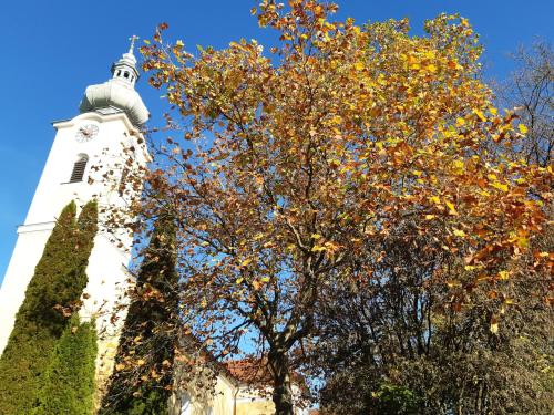 a white church with a tree and a tower at Große Altbauwohnung auf dem Land in Kallham