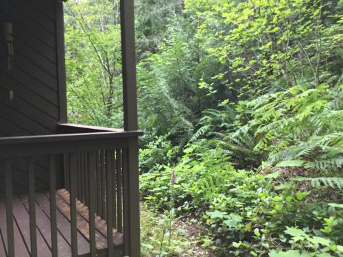 a porch of a house with a view of a forest at Snowater Nook in Deming
