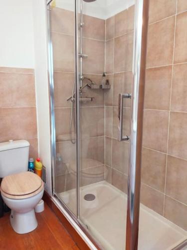 une salle de bain avec douche et toilettes dans l'établissement T 2 calanques vue panoramique, à 10 mn des facs de Luminy, à Marseille