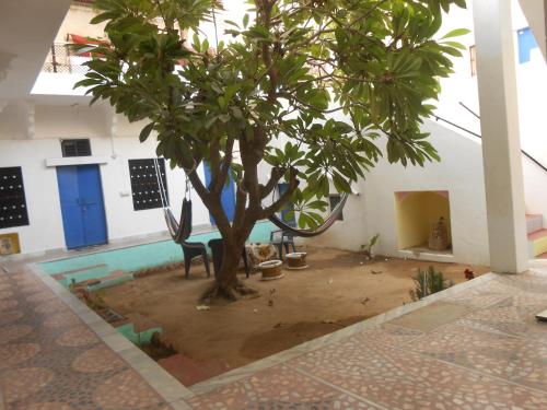 ein Baum in der Mitte eines Zimmers mit Pool in der Unterkunft Shiva Guest House in Pushkar
