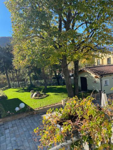 a garden with a tree and a house at AFFITTACAMERE VAL SUSA in San Didero 