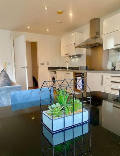 a kitchen with a plant in a basket on the floor at XL Corner Apartment w Gym & Spa in Manchester
