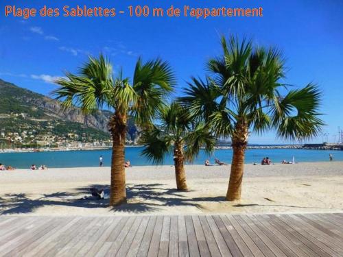 a group of palm trees on a sandy beach at MENTON, centre historique, vue mer in Menton