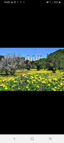 a field of flowers and trees with a building in the background at D'ALTRITEMPI-Elegance in Cianciana. in Cianciana