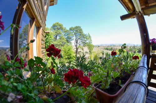 a garden with red flowers on the side of a house at LA LINDA - Cabaña de Montaña in Villa Berna