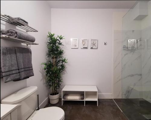 ハリファックスにあるCameo Hotel and Suitesのトイレとシャワー付きの白いバスルーム