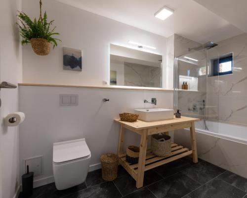 W łazience znajduje się umywalka, toaleta i prysznic. w obiekcie Mountain Lodge w mieście Râșnov