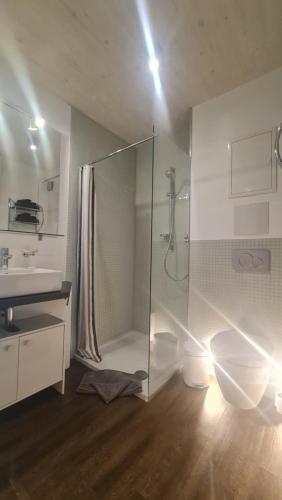 シュテッテンにあるFerienwohnung SEE UND MEHRのバスルーム(ガラス張りのシャワー、シンク付)