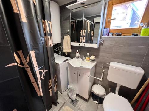 een kleine badkamer met een toilet en een wastafel bij Дом в Жабляке с шикарным видом на Дурмидор in Žabljak