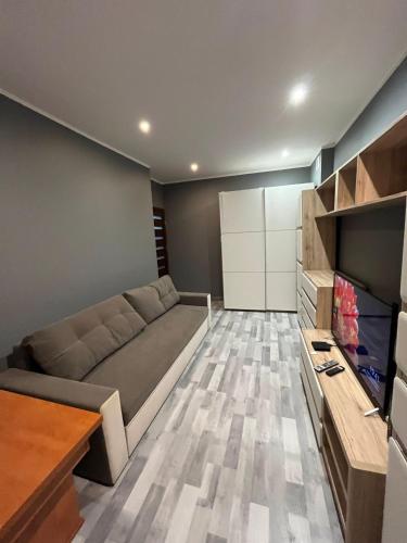 a living room with a couch and a tv at Luxury apartaments Klimatyzacja 5 in Radom