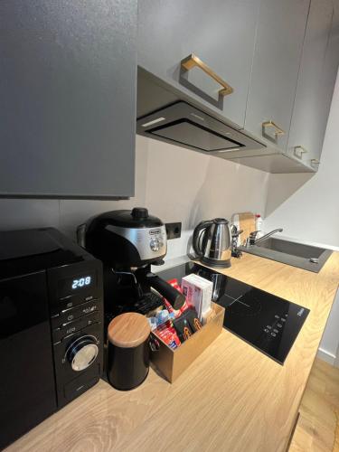 una cocina con cafetera en una encimera en Alexander Cozy Apartment FREE PRIVATE PARKING, en Mediaş