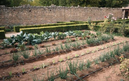 a garden with lots of vegetables and a brick wall at Hotel Hort De Fortunyo in Arnés