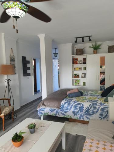 Playa del Ingles Estudio LOS MOLINOS 205