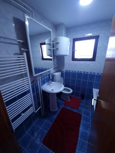 Vonios kambarys apgyvendinimo įstaigoje Apartman's Ana Pale-OC Jahorina No.2