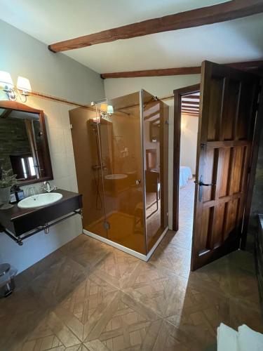 a bathroom with a shower and a sink at Apartamento rural jama in Cilleros