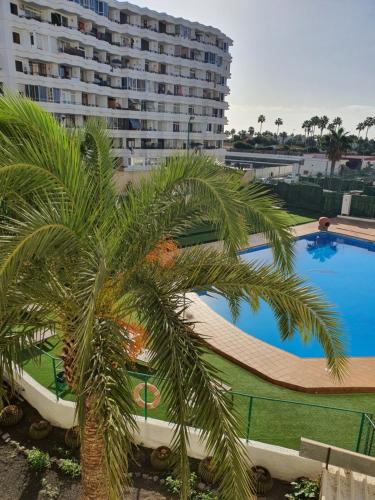 Playa del Ingles Estudio LOS MOLINOS 205