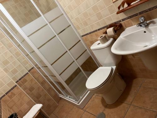 a bathroom with a shower and a toilet and a sink at La Rueda in Riópar