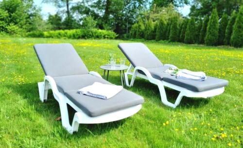 2 Stühle und ein Tisch im Gras in der Unterkunft Ferienquartier Hamburg in Glüsingerlohe