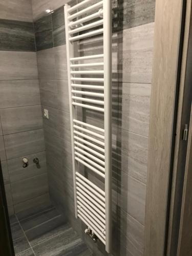 ein Bad mit einer Dusche und einer Glastür in der Unterkunft Apartmán na Polesí in Deštné v Orlických horách