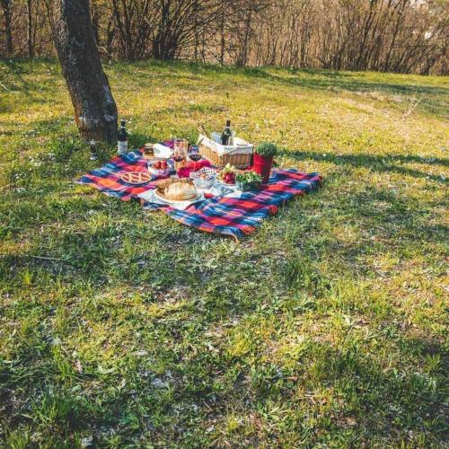 a picnic table on a blanket in a field at da Sara in Meana di Susa