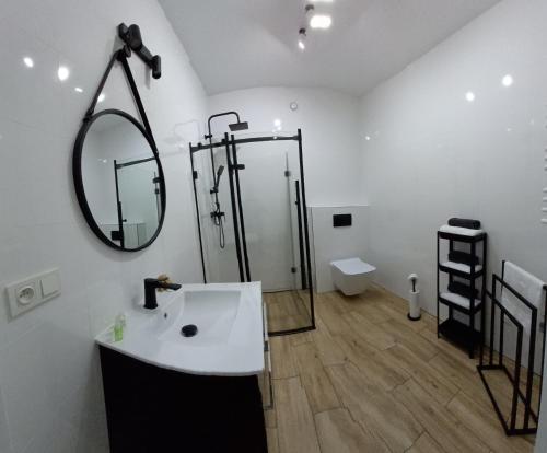 uma casa de banho com um chuveiro, um lavatório e um espelho. em Apartament Różana Piątka em Kutno