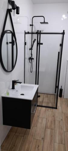 a bathroom with a sink and a mirror at Apartament Różana Piątka in Kutno