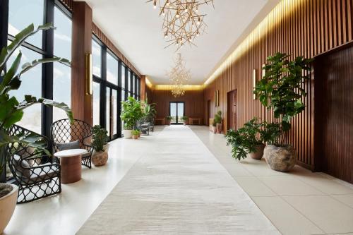 a hallway with potted plants in a building at Virgin Hotels Dallas in Dallas