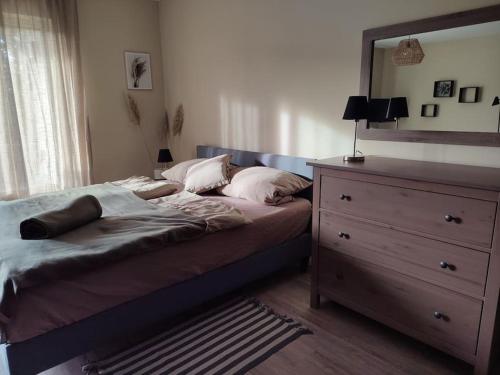 1 dormitorio con 1 cama con tocador y espejo en Gemütliches Ferienapartment mit optionaler E-Ladesäule, en Eichenzell