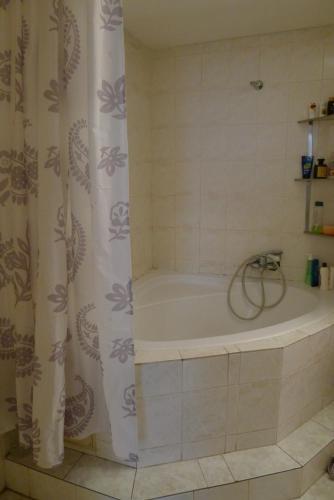 y baño con bañera y cortina de ducha. en Cozy modest room for 2 or 3 persons, en Praga