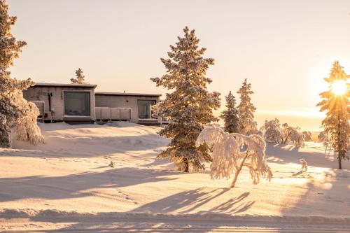 un patio cubierto de nieve con una casa y árboles en Aurora Collection, en Saariselkä