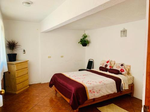 Fotografie z fotogalerie ubytování Casa Rústica v destinaci Atlixco