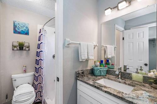a bathroom with a sink and a toilet and a mirror at Stunning Heated Pool House Close to Tampa in Seffner