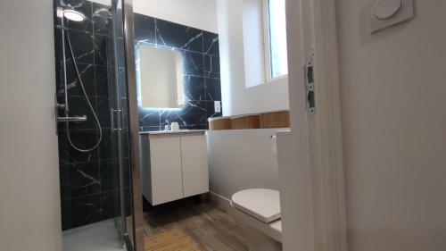 uma casa de banho com um chuveiro, um WC e um lavatório. em Le Terracotta Ideal Groupe Salle de sport Parking Gratuit em Troyes