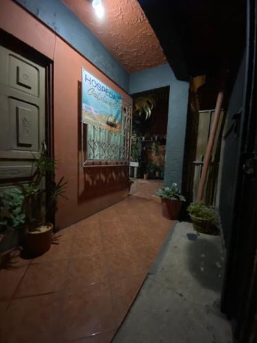 un corridoio di un edificio con porta e piante di Hospedaje CatalinaSS a Liberia