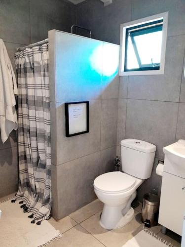 Ένα μπάνιο στο Hau Lodge Malalcahuello Corralco wifi starlink