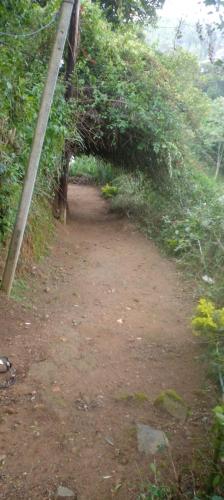 a dirt road with a tunnel in the grass at Green View Ella in Ella