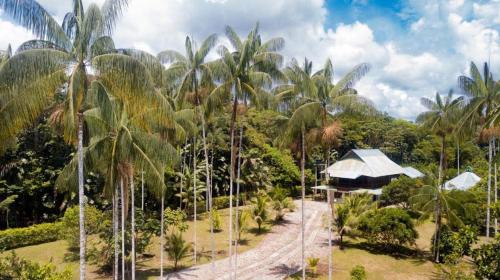 - une vue aérienne sur un complexe avec des palmiers dans l'établissement Casa Finca Villa Laura, à Leticia