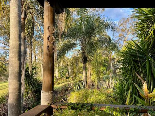 een houten bank in een tuin met palmbomen bij Charity Creek Retreat in Mount George