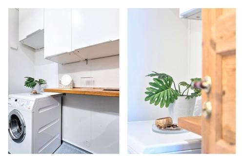 a white kitchen with a washing machine and a plant at Lovely central apartment with two large bedrooms nearby Oslo Opera, vis a vis Botanical garden in Oslo