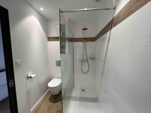 ein Badezimmer mit Glasdusche und WC in der Unterkunft Appartement de charme en cœur de ville in Guingamp