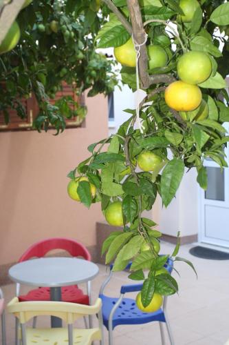 En have udenfor Apartments Villa Natali - Heating Pool