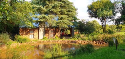 a house in the middle of a field with a pond at Little Forest Farm in Magaliesburg