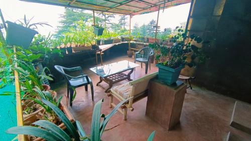 Κήπος έξω από το Mcleodganj Bed & Breakfast