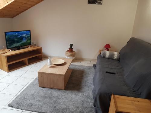ein Wohnzimmer mit einem Sofa und einem TV in der Unterkunft APPARTEMENT ANCELLE in Ancelle