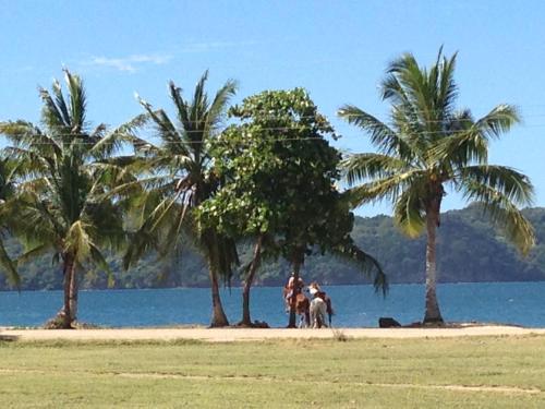a group of people and horses on a beach with palm trees at Quinta Esencia in Brasilito